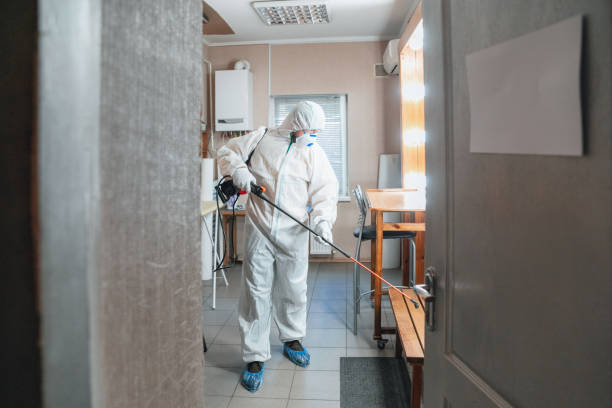 Mold Odor Removal Services in Elk Point, SD